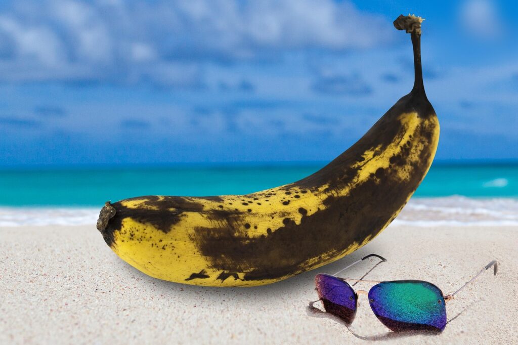 beach, sand, sea, sandy beach, vacations, caribbean, coast, summer, sunburn, cancer, skin cancer, sunglasses, recreation, sunburn, sunburn, sunburn, skin cancer, skin cancer, skin cancer, skin cancer, skin cancer